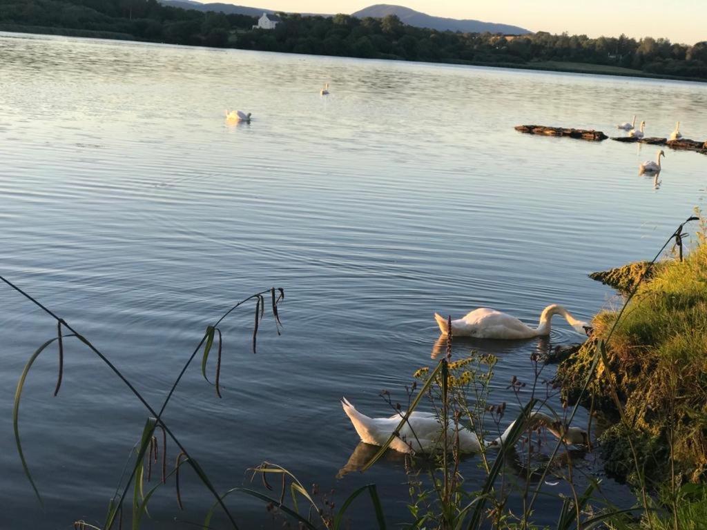 Lakeside Lookout Bantry Cork Eksteriør billede